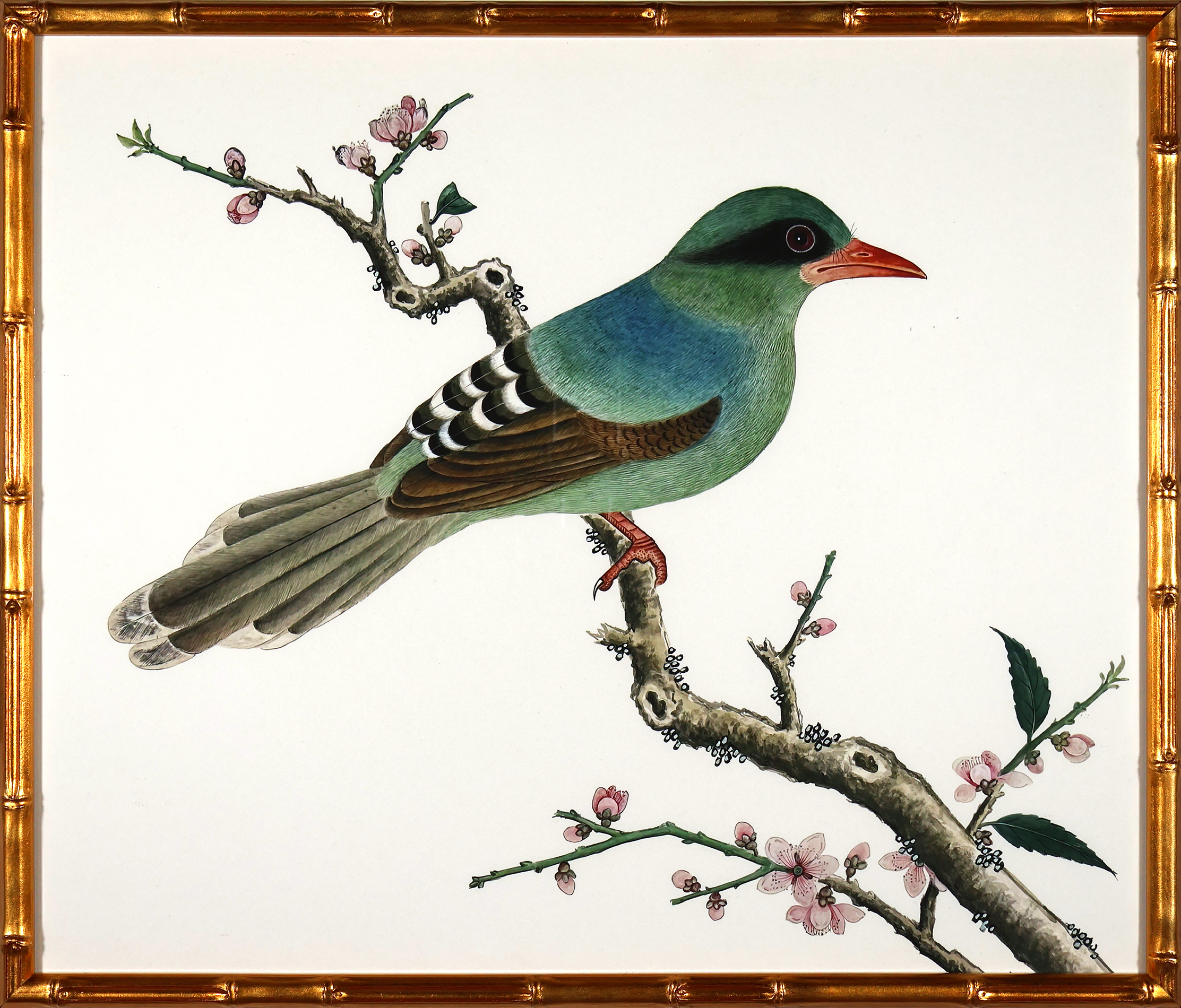 Flights of the Far East (Birds)